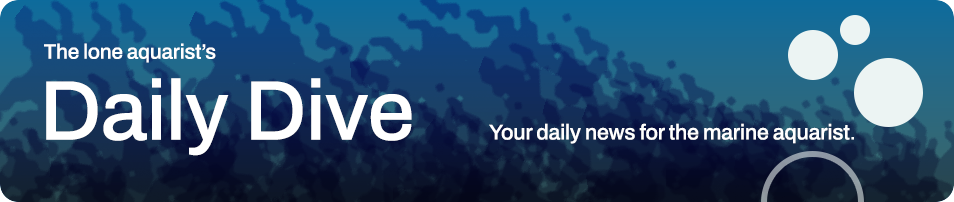 Weekly Dive — The Lone Aquarist. Saltwater and reef news for the marine aquarist.