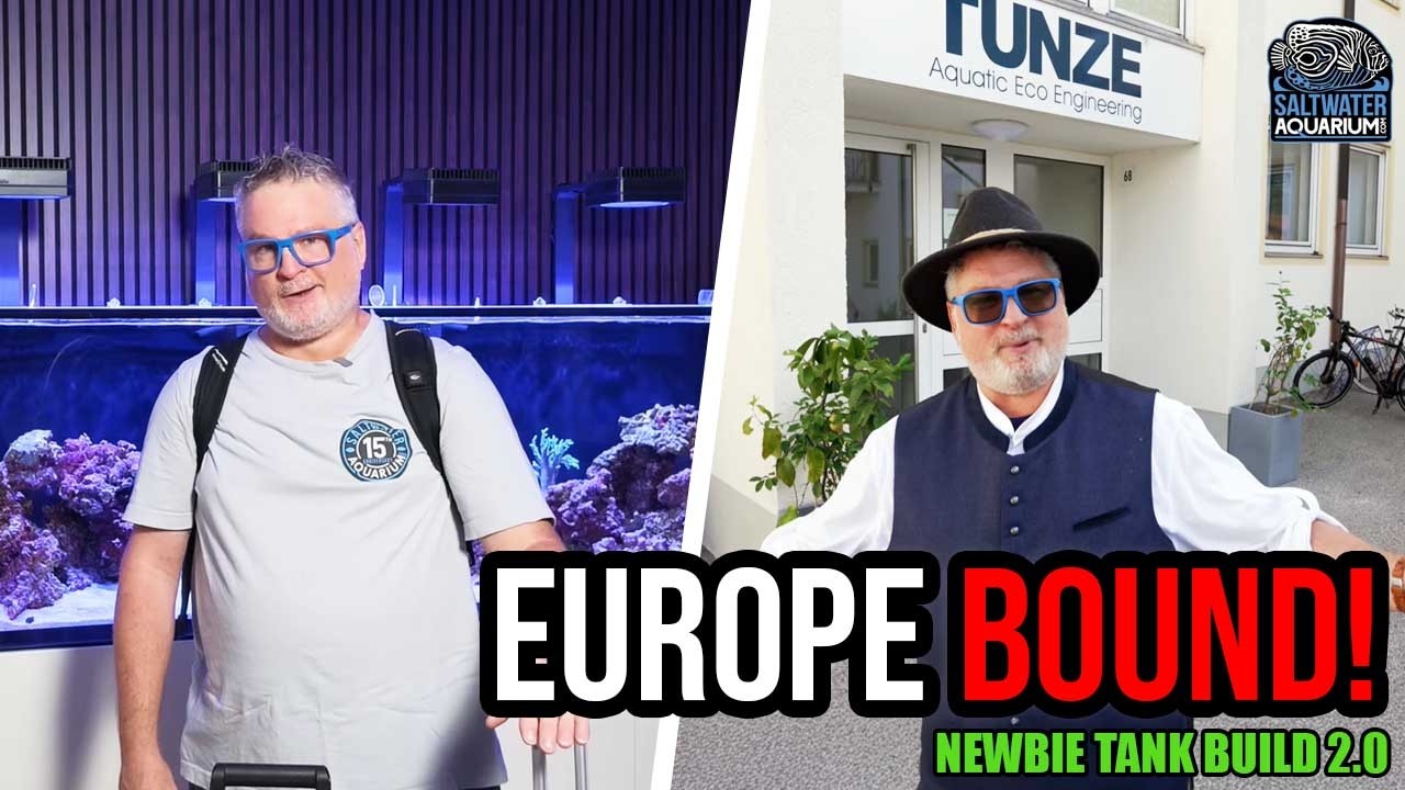 How to Prep Your Reef Tank Before Going on Vacation | European Tour Teaser | Newbie Tank Build 2.0 — SaltwaterAquarium.com