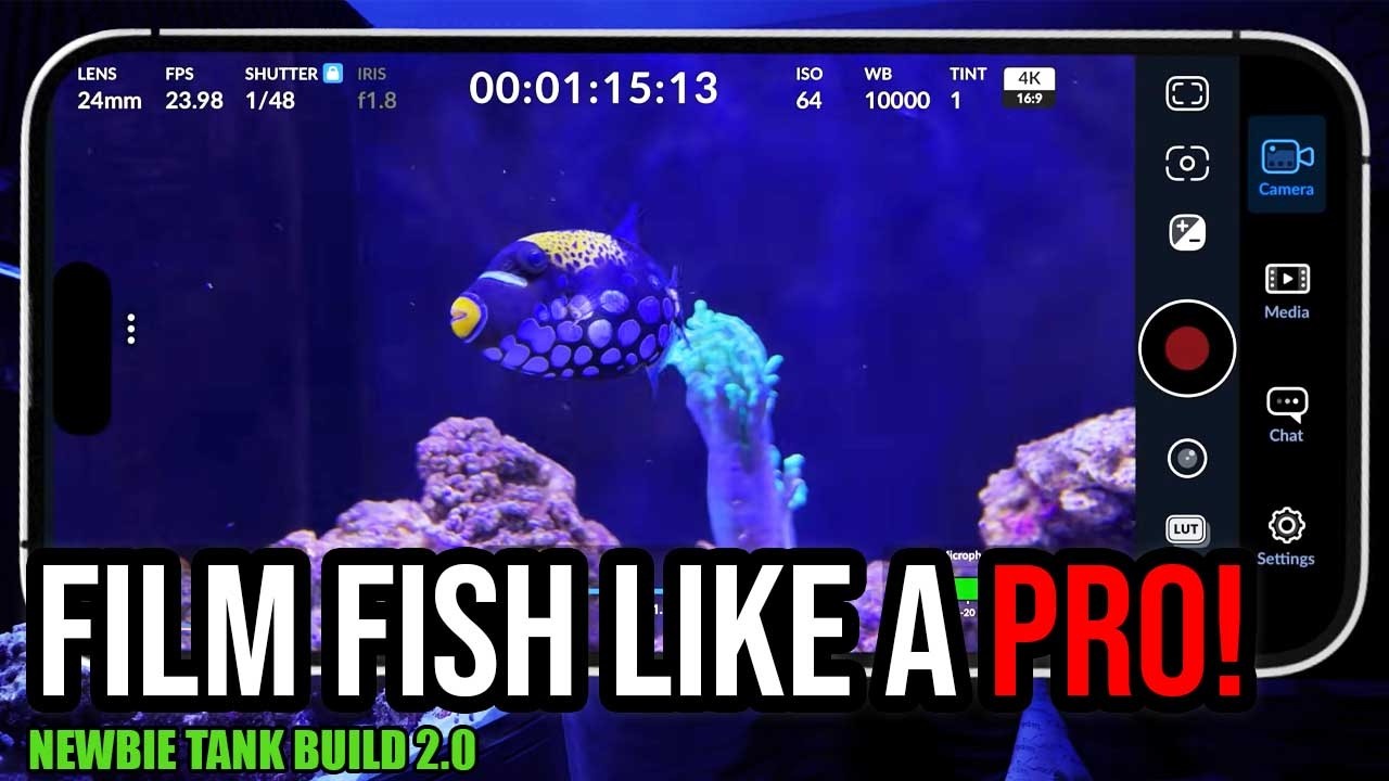 How to Film Aquarium Fish Like a Pro with Your Smartphone! | Newbie Tank Build 2.0 — SaltwaterAquarium.com